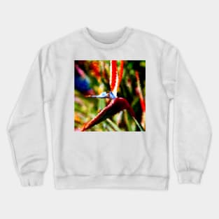 Bird of Paradise Abstract Crewneck Sweatshirt